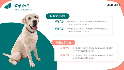 莫兰迪色卡通风宠物饲养心得经验分享PPT模板