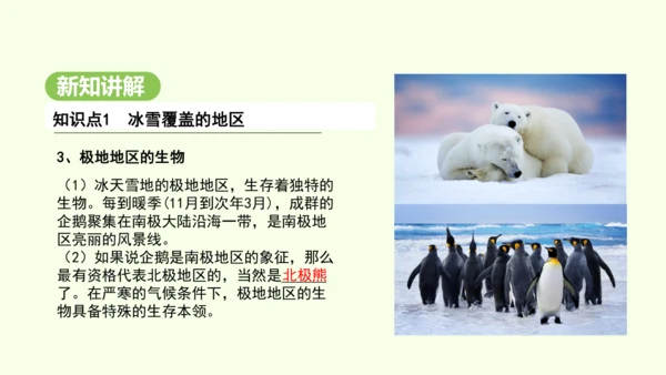 11.1 冰雪覆盖的地区 科学考察的宝地（课件34张）-2024-2025学年七年级地理下学期人教版