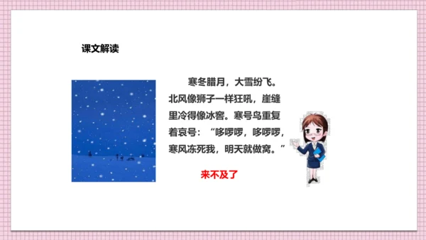 第13课《寒号鸟》（课件 )