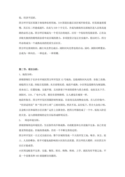 唐朝碧阁品牌战略策划全案报告书