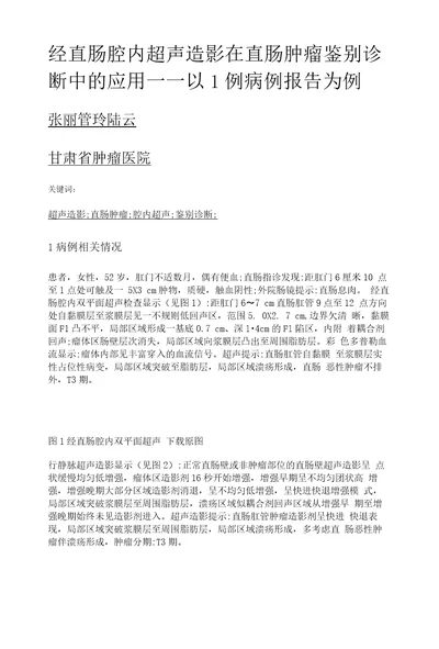 经直肠腔内超声造影在直肠肿瘤鉴别诊断中的应用以1例病例报告为例