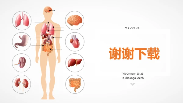医疗医学人体结构动态PPT模板