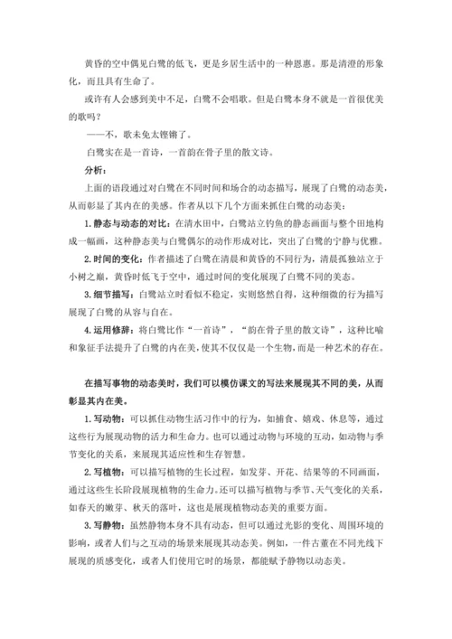 统编版2024-2025学年语文五年级上册跟着课文学写作：1.白鹭 仿写训练  运用对比表现外在美，