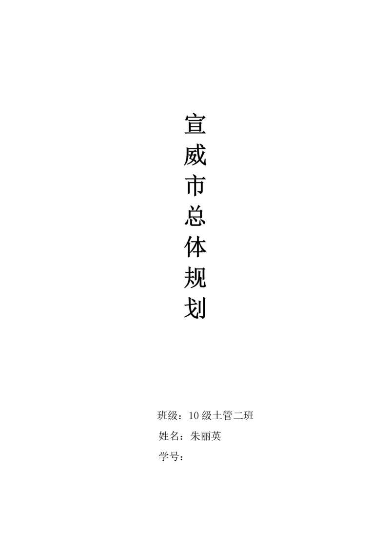 宣威市总体综合规划.docx