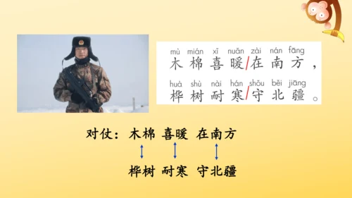 识字2 树之歌  课件