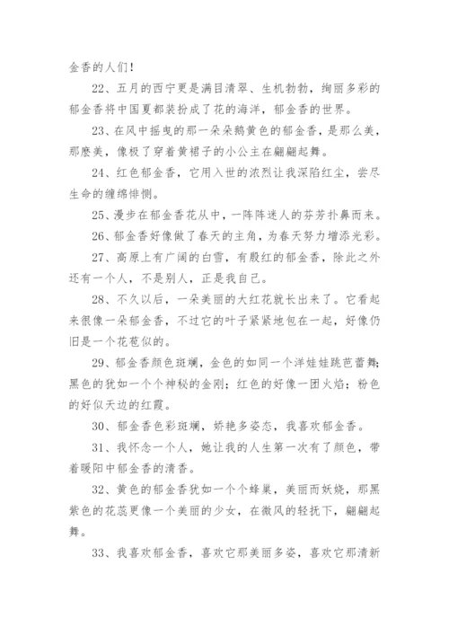 郁金香的句子.docx