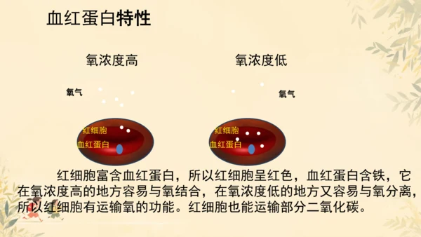 初中生物学人教版（新课程标准）七年级下册4.4.1流动的组织──血液课件(共22张PPT)