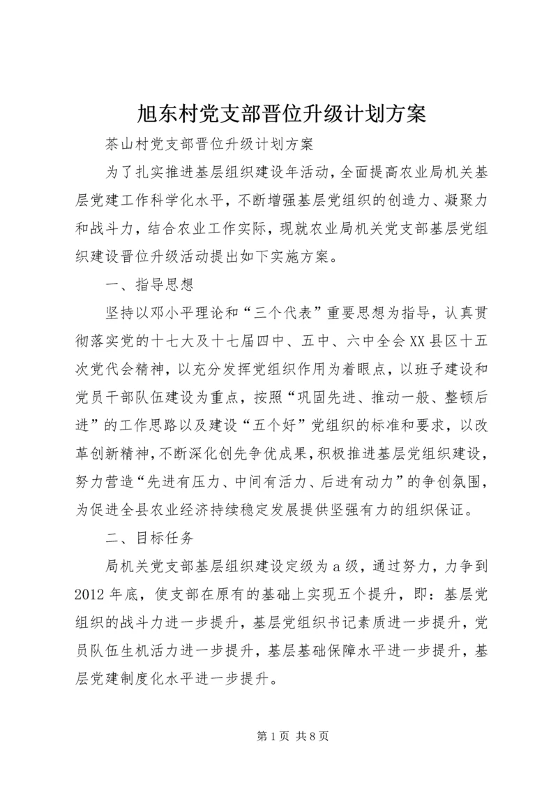 旭东村党支部晋位升级计划方案 (2).docx