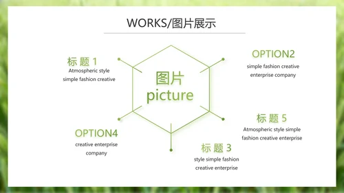 绿色农产品介绍宣传动态PPT模板
