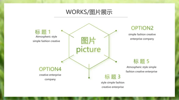 绿色农产品介绍宣传动态PPT模板