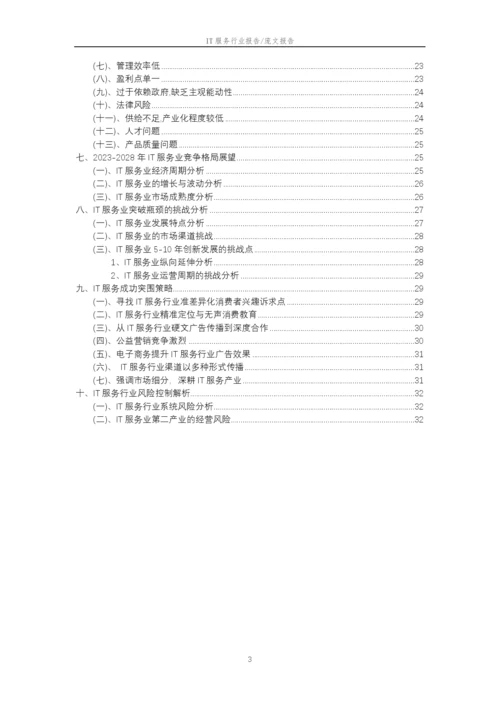 2023年IT服务行业分析报告及未来五至十年行业发展报告.docx