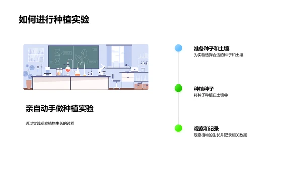 植物生长秘籍PPT模板