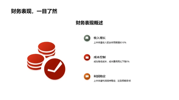 财务半年度审视