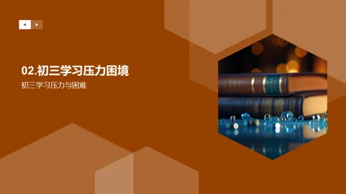 初三学霸之路