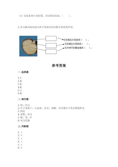 科学四年级下册第一单元植物的生长变化测试卷及参考答案【能力提升】.docx