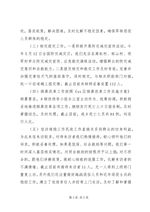 乡镇年度民政工作总结及下步工作安排.docx