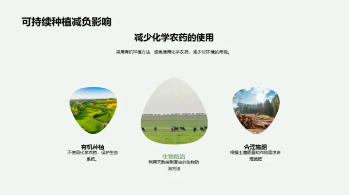 环保之花：可持续种植