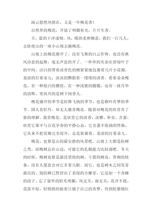 又是一年槐花香作文.docx