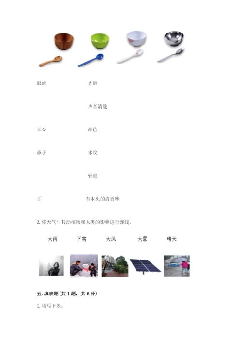 教科版小学二年级上册科学期末测试卷及参考答案（满分必刷）.docx