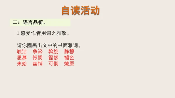 4《灯笼》（教学课件）(共26张PPT)
