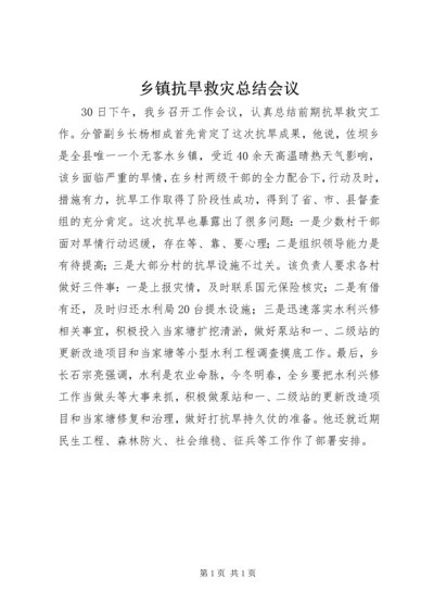 乡镇抗旱救灾总结会议.docx