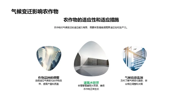 谷雨气候应变策略