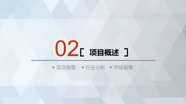 商业轻奢大气银灰色创业项目计划书通用PPT
