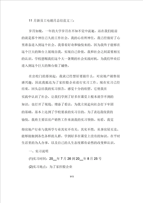 11月新员工电销月总结范文
