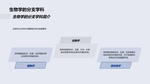 初三生物学教学PPT模板