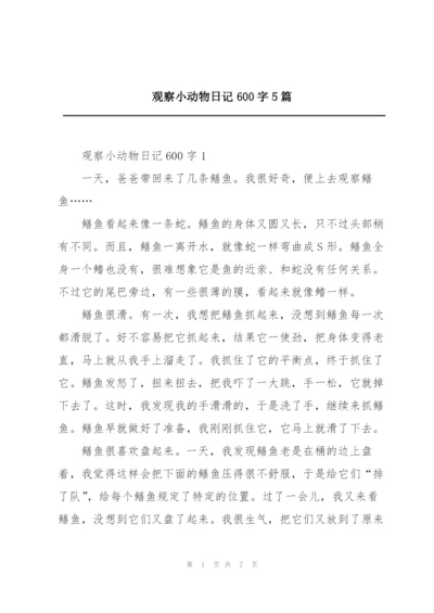 观察小动物日记600字5篇.docx