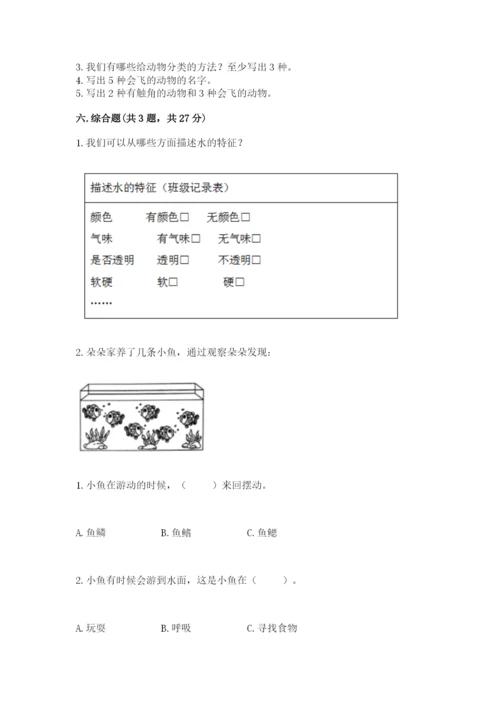 教科版一年级下册科学期末测试卷及答案（基础+提升）.docx