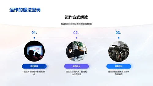 粉丝经济运营PPT模板