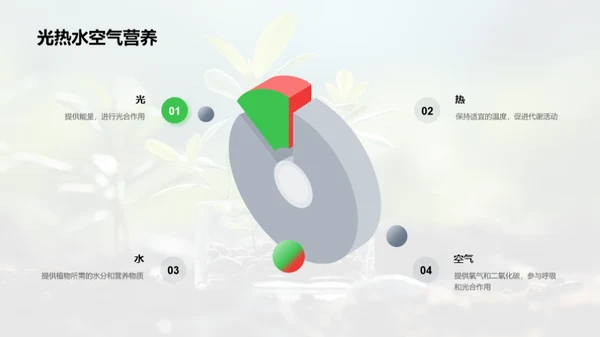 小科学家的生物探秘