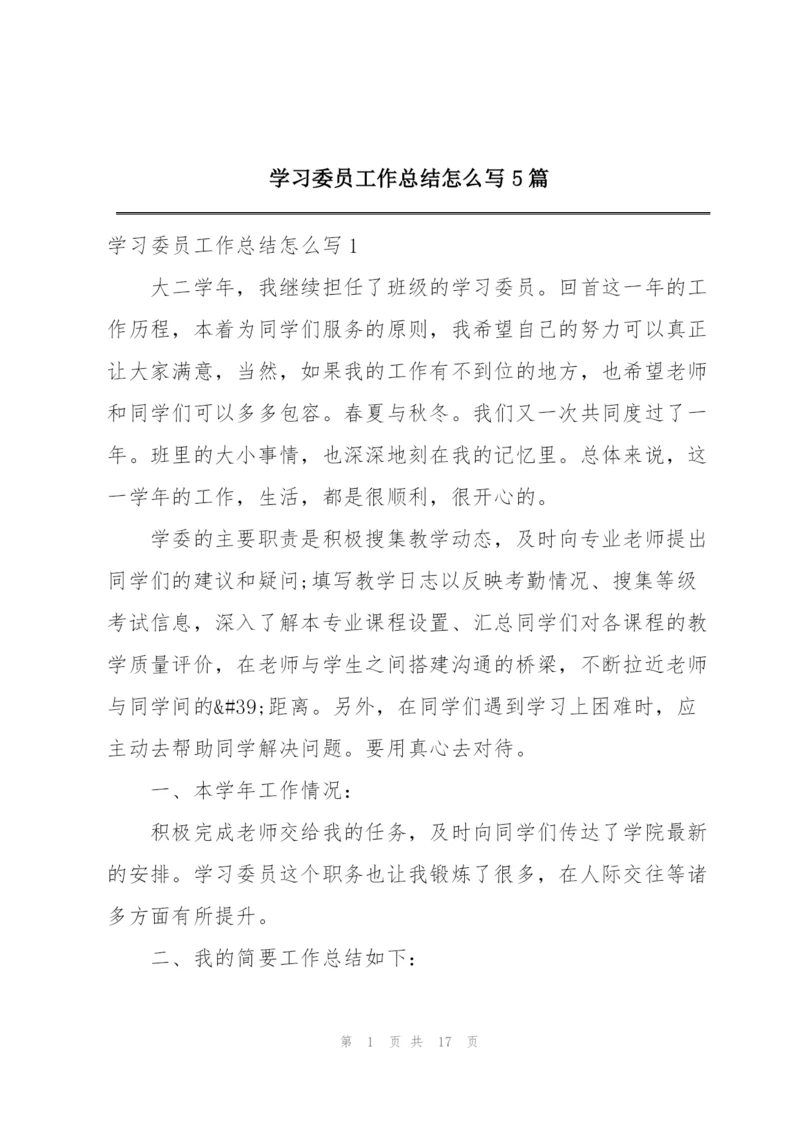 学习委员工作总结怎么写5篇.docx