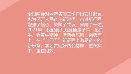 粉色党政风两会学习心得PPT模板