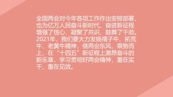 粉色党政风两会学习心得PPT模板