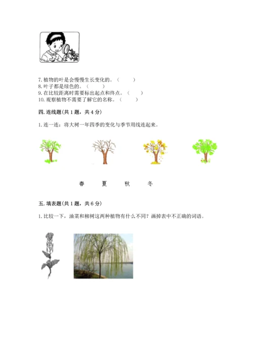 教科版一年级上册科学期末测试卷精品（全国通用）.docx