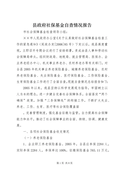 县政府社保基金自查情况报告.docx