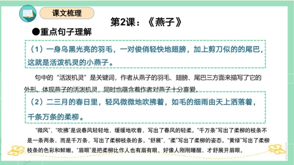 统编版三年级语文下册同步高效课堂系列第一单元（复习课件）