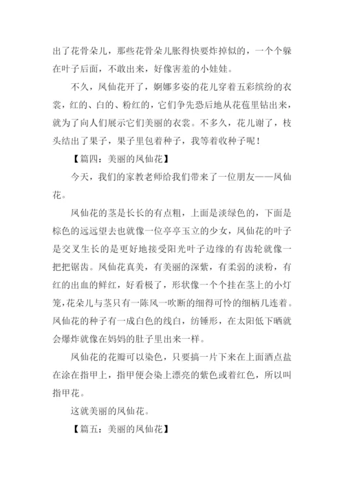 美丽的凤仙花作文200字.docx
