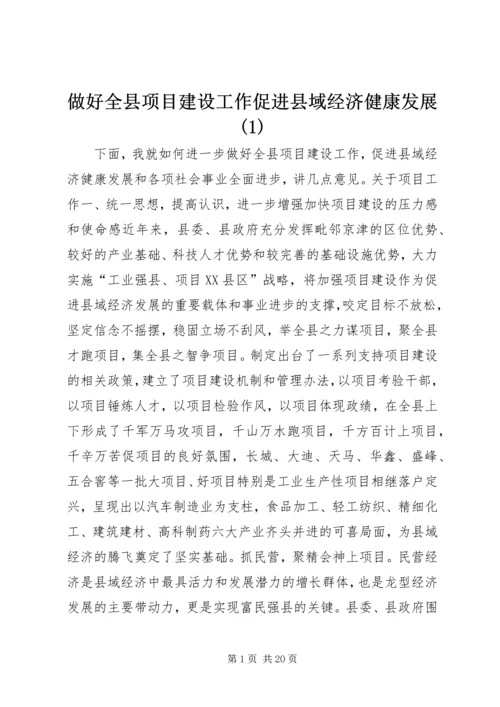 做好全县项目建设工作促进县域经济健康发展(1).docx