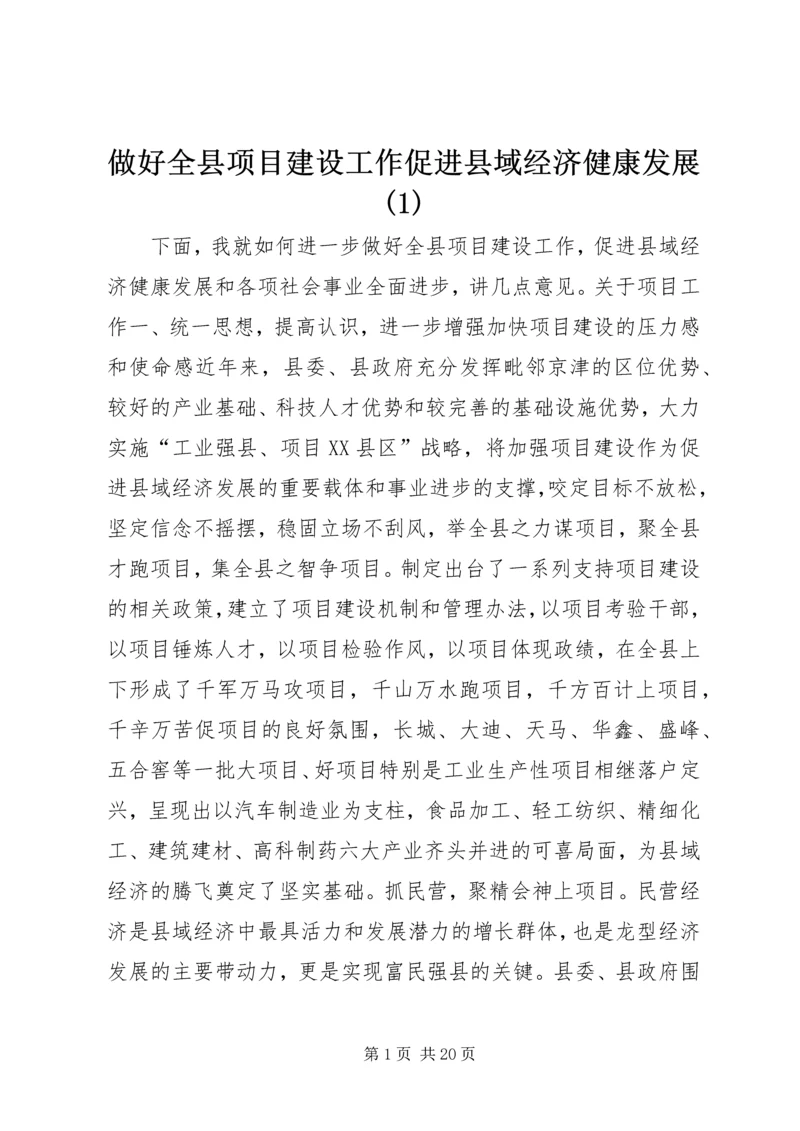 做好全县项目建设工作促进县域经济健康发展(1).docx