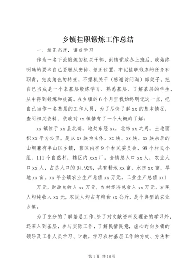 乡镇挂职锻炼工作总结.docx