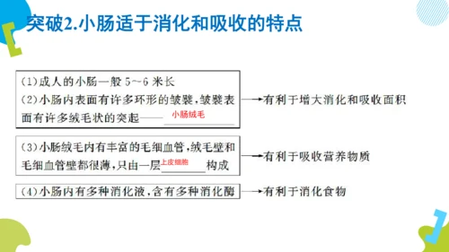 （人教七下复习）第一到三章复习