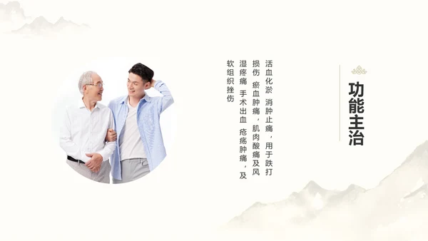 中国风中医药医疗保健产品介绍