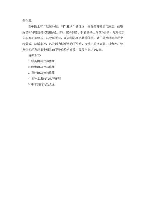 蛇鞭的功效与作用.docx