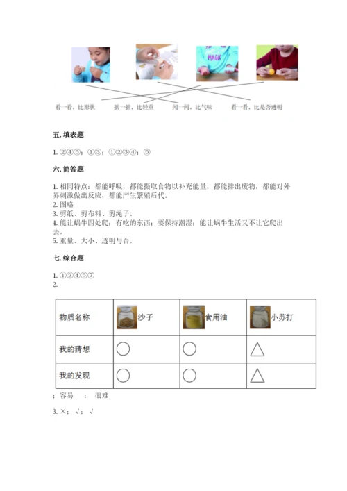 教科版小学科学一年级下册期末测试卷精品【名校卷】.docx