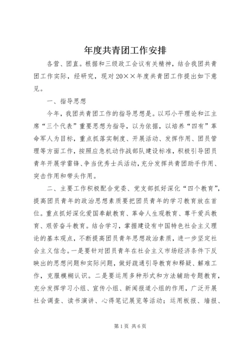 年度共青团工作安排.docx