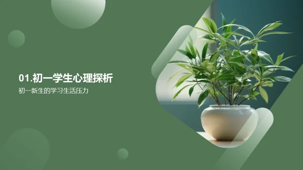 初中生心理适应指南