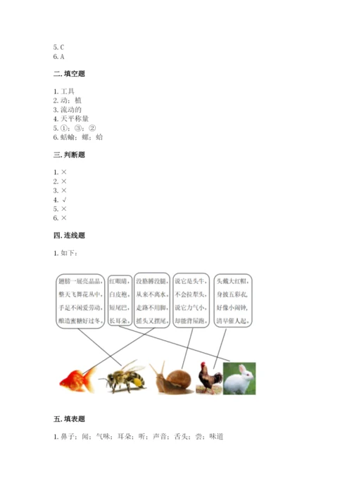 教科版一年级下册科学期末测试卷（轻巧夺冠）.docx